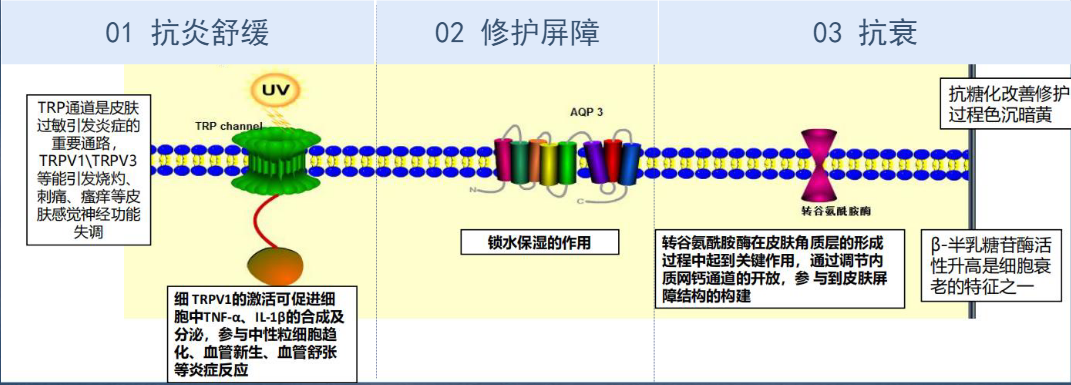 作用原理.png